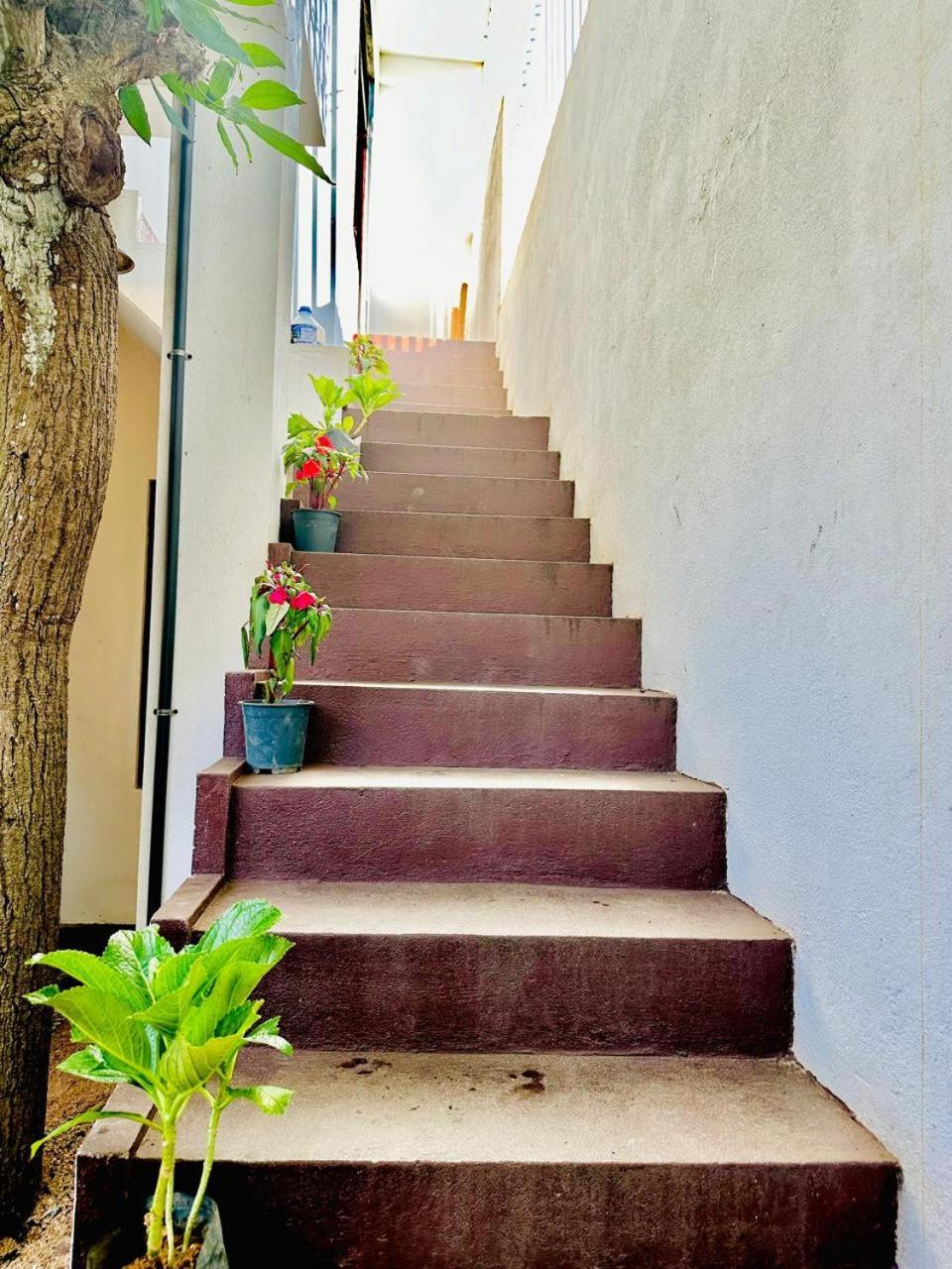 Sea Breeze Guest House Negombo Exterior photo